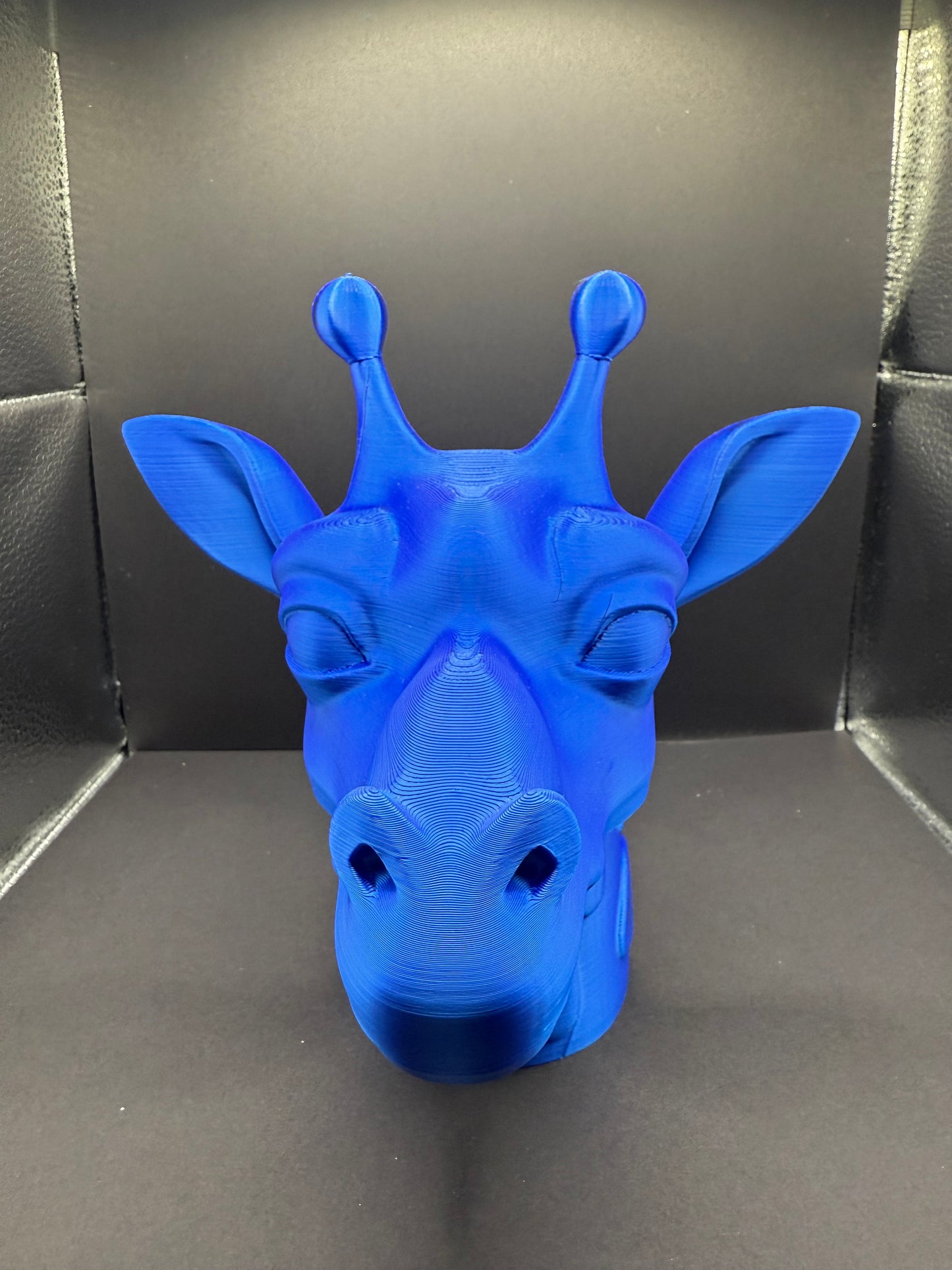 Giraffe accessories holder