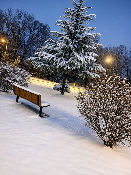 Silent Winter