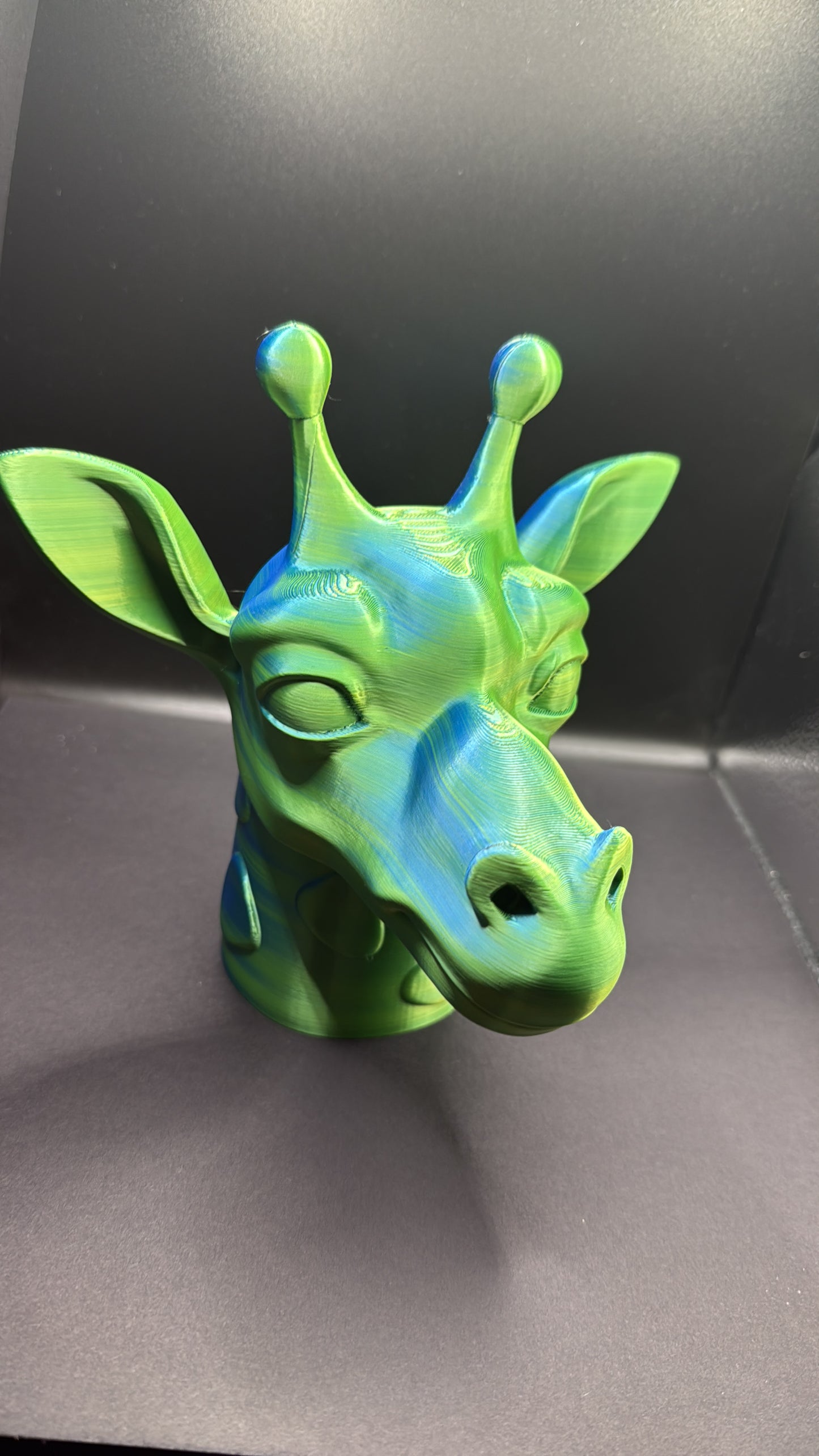 Giraffe accessories holder